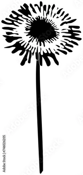 Fototapeta athletic illustration pompom silhouette leader logo pom icon uniform outline trophy student poms attractive pose teenager school team sport shape of poms attractive for vector graphic background