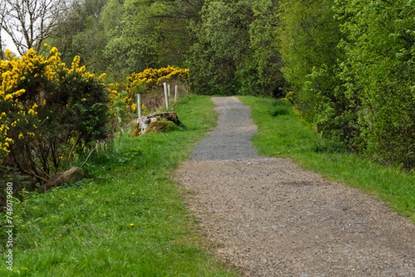Fototapeta Weg beim Greenock Cut Path in Schottland