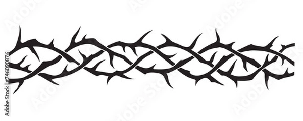 Fototapeta black crown of thorns image isolated on white background