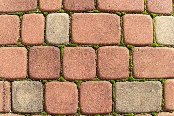 Fototapeta paving stones covered with moss 
