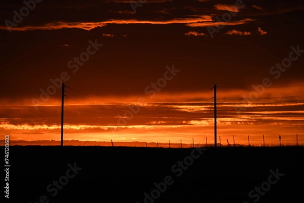 Fototapeta wind turbines at sunset