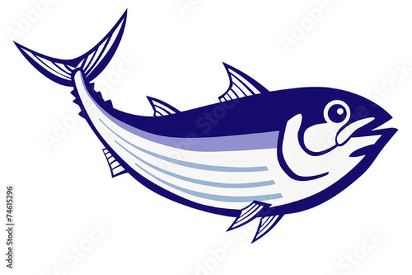 Obraz カツオのイラスト　右向き