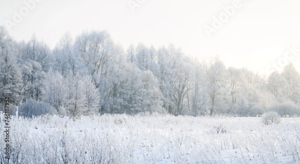 Obraz Cold winter day, beautiful hoarfrost and rime on trees