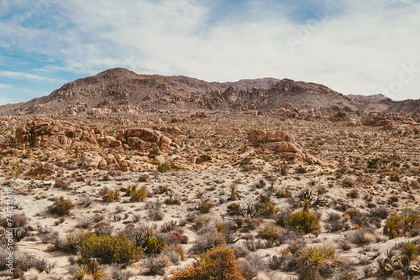 Obraz Desert landscape