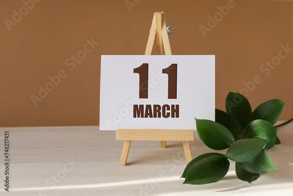 Fototapeta March 11th. Day 11 of month, Calendar date. Green branch, easel with the date and month on desktop. Close-up, brown background. Spring month, day of year concept