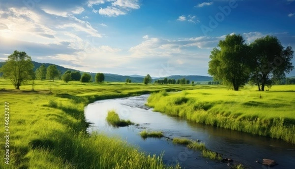 Fototapeta Idyllic meadow and river rural landscape