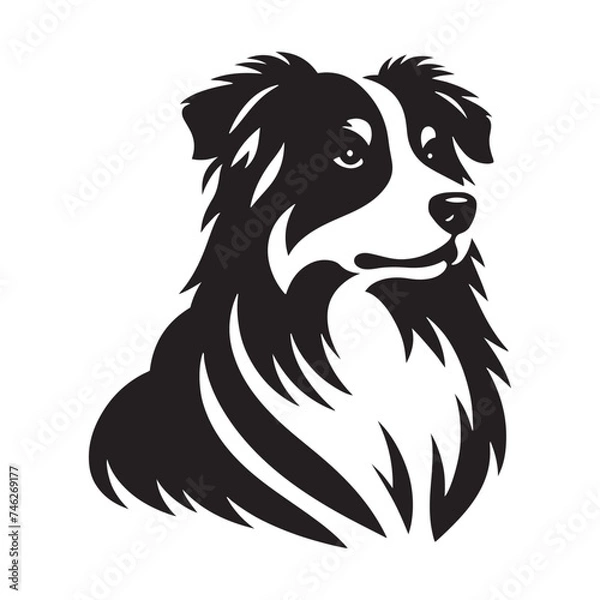 Obraz Graceful Herding: Vector Silhouette of Australian Shepherd - Capturing the Elegance and Vigilance of this Beloved Working Dog Breed. Vector Australian Shepherd silhouette.