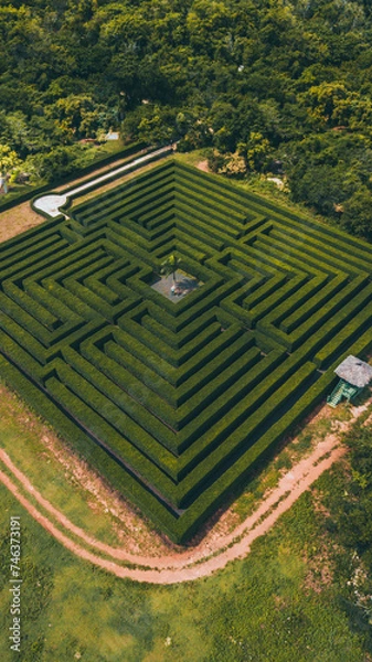 Obraz nature labyrinth in the middle of the street