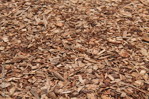 Fototapeta A Textured Background Image of Fresh Wood Chips.