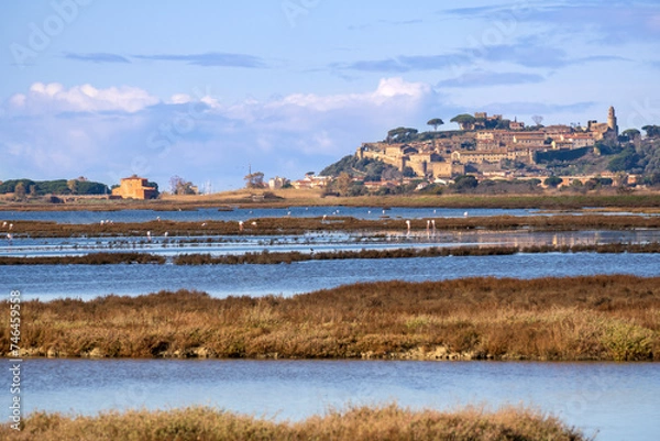 Fototapeta Italy Tuscany Maremma Castiglione della Pescaia, natural reserve of Diaccia Botrona In the background the castle and the ancient village