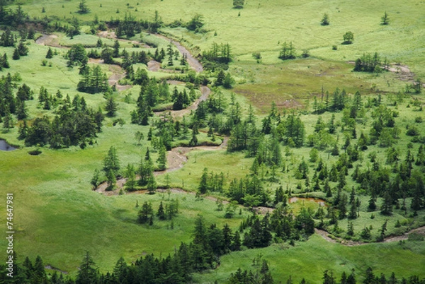 Obraz 芳ヶ平湿原