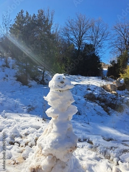 Obraz bear in the snow  snowman