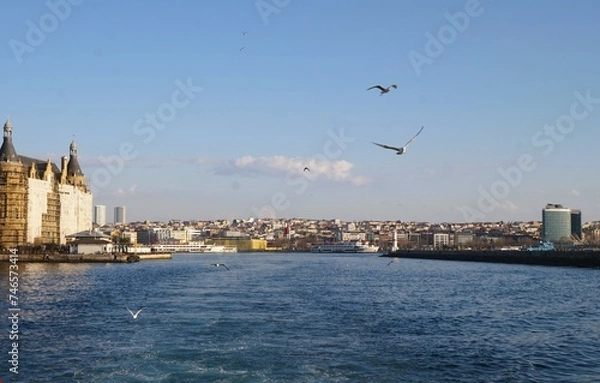 Obraz distant city and seagulls