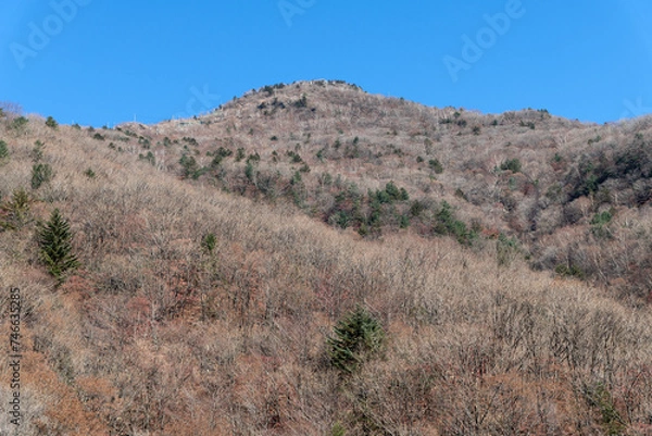 Fototapeta View of the autumn mountains