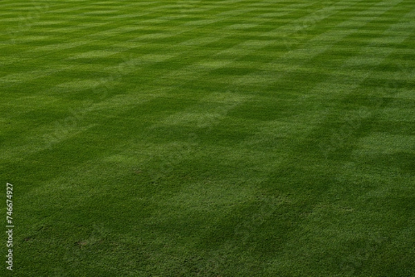Obraz Baseball or Softball outfield is seen, mowed in a pattern before a game.