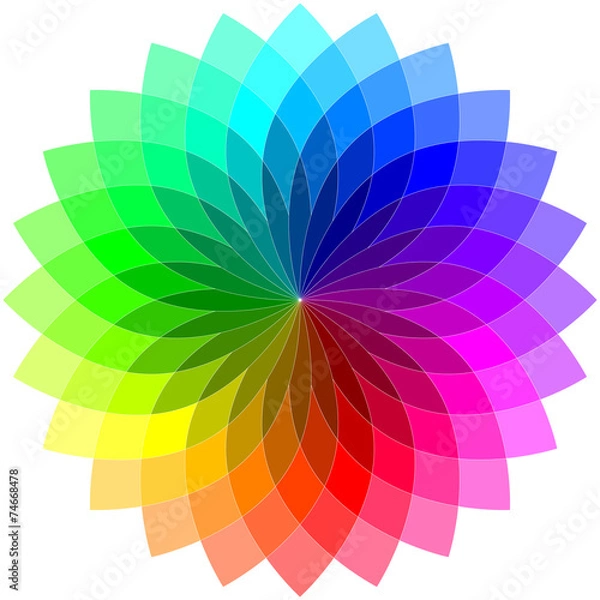 Fototapeta Rosette - 002 - CMY