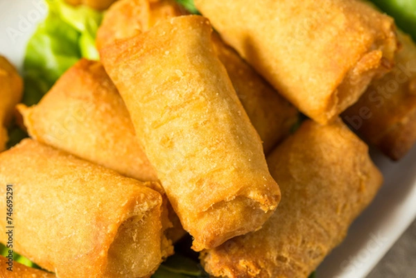 Obraz Chinese Deep Fried Vegetable Egg Rolls