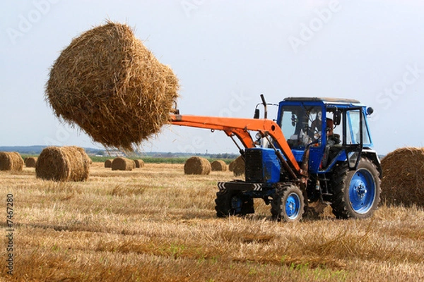 Fototapeta Haymaking