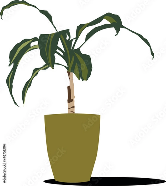 Obraz Planta en maceta