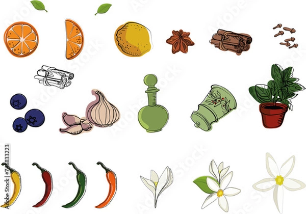 Fototapeta set of kitchen items: fruits, berries, vegetables and flowers