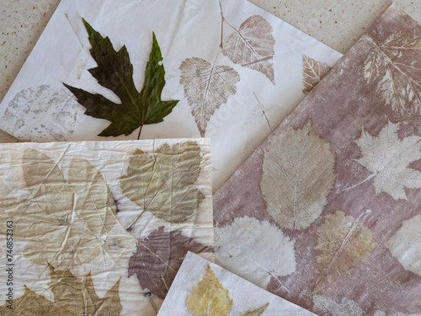 Fototapeta Experimental natural dyeing of paper. Leaf print on the sheets of paper, close up