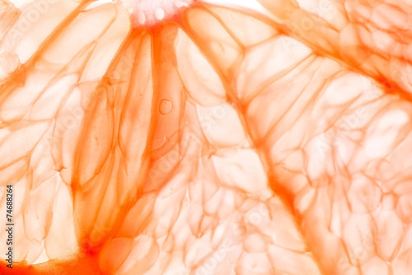 Fototapeta Fresh grapefruit