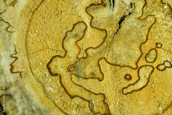 Fototapeta Abstract wood background