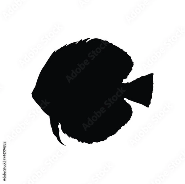 Obraz discus fish vector design silhouette.