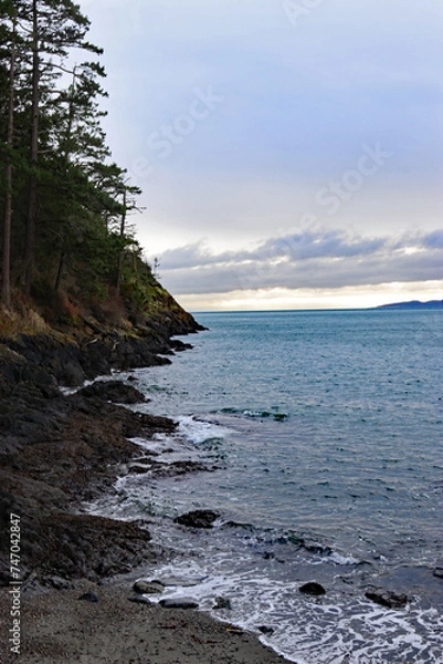 Obraz Washington coast 