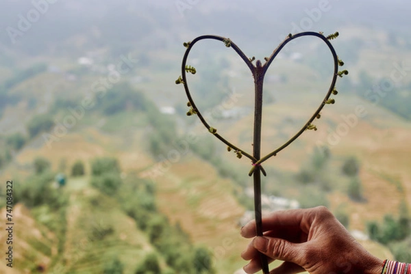 Obraz heart with tree branches and flowers