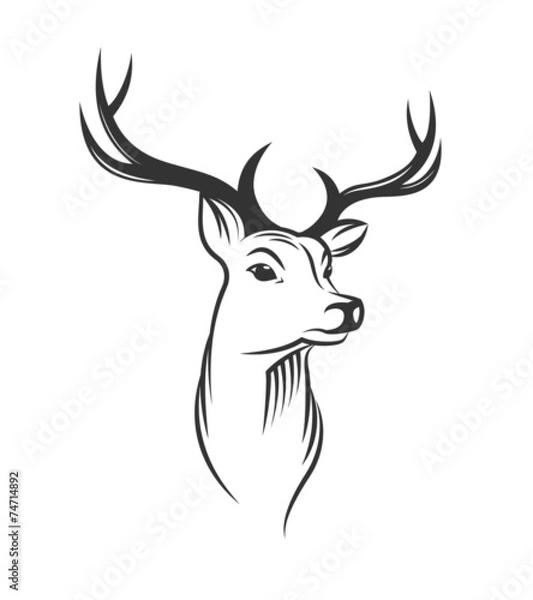 Obraz Deer head on white background