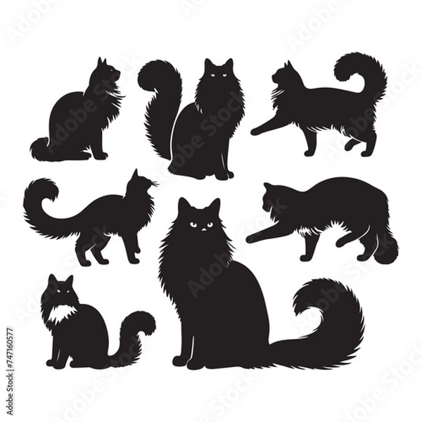 Obraz Graceful Ragdoll: Vector Silhouette - Capturing the Elegance and Charm of the Beloved Ragdoll Cat Breed in Elegant Form, Vector Ragdoll, Ragdoll Silhouette