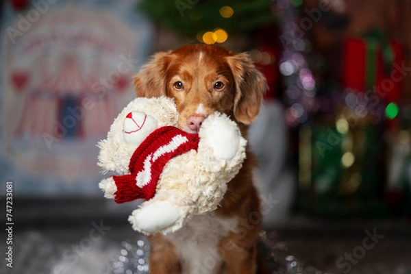 Obraz Święta i pies