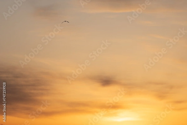 Fototapeta 朝焼けの空