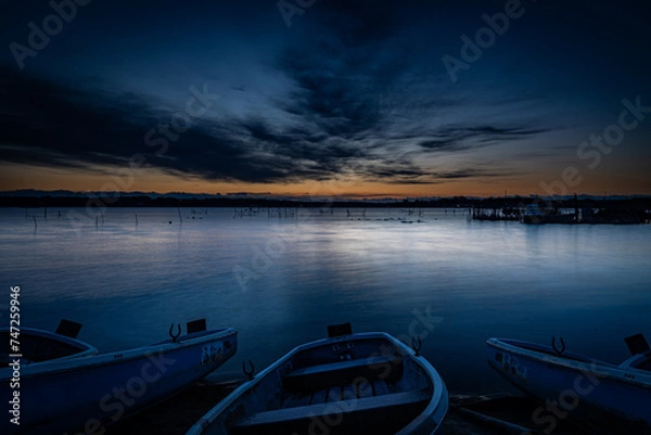 Obraz 朝の印旛沼