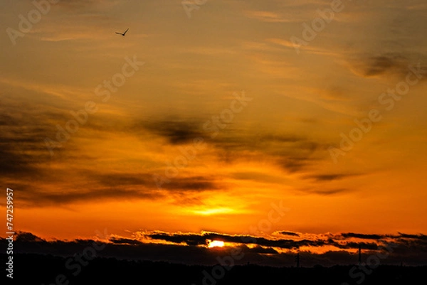 Obraz 朝焼けの空