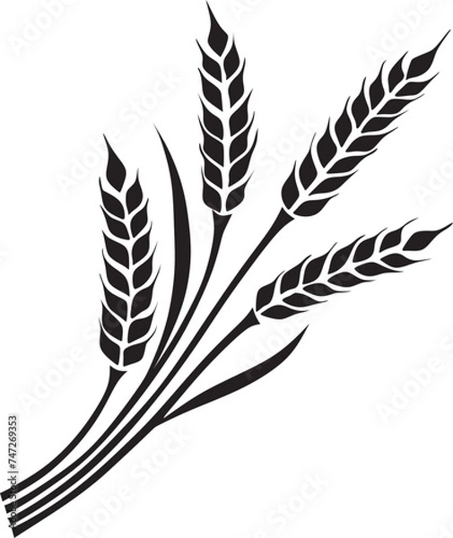 Fototapeta aehre280224b