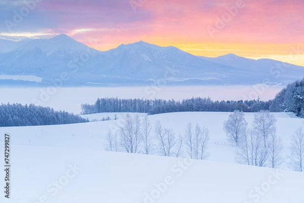 Obraz 霧氷する千望峠　冬の北海道上富良野観光