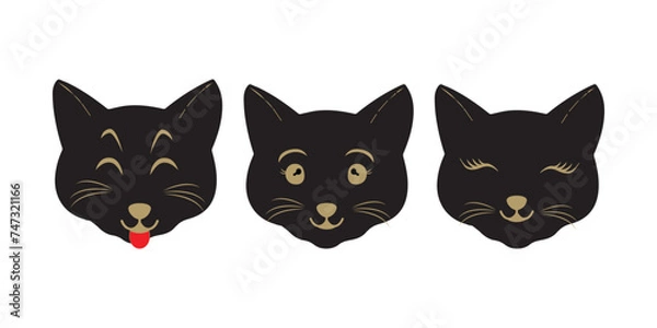 Fototapeta Cat pet head face icon, Vector illustration of funny cartoon cats, Cat face with various expressions and patterns vector illustration flat design.