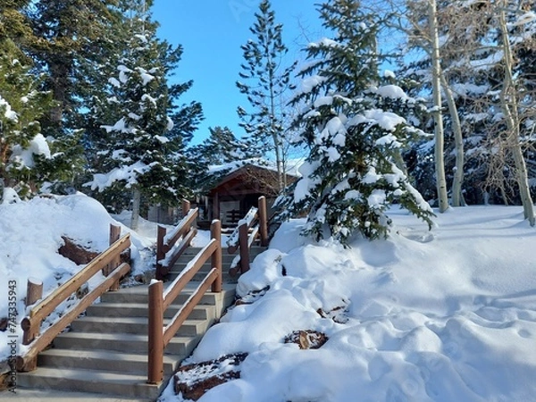 Fototapeta Stairway in the snow