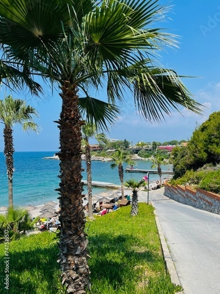 Obraz Tropical resort