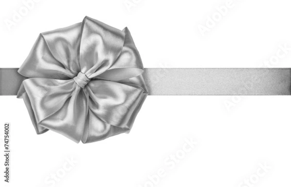 Obraz Silver ribbon