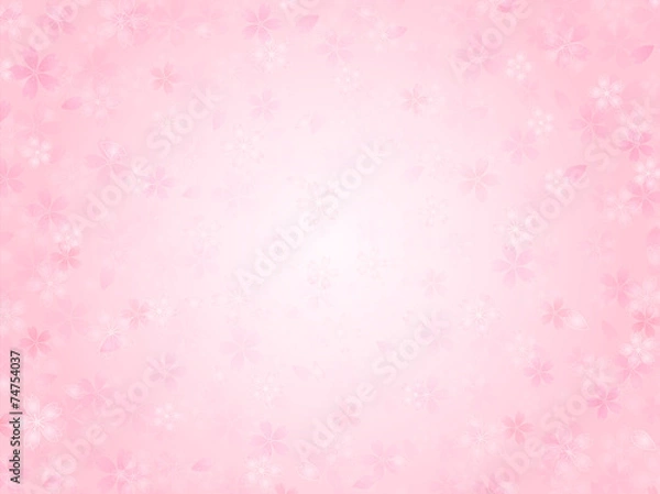 Fototapeta 桜　花　背景