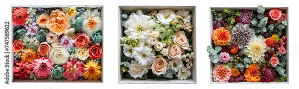 Fototapeta Flower boxes top view isolated on white or transparent background generative 