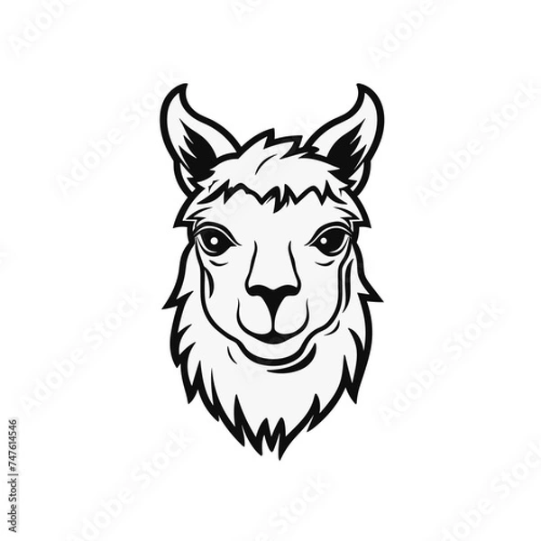 Obraz head of lama or alpaca black and white vector illustration isolated transparent background logo, cut out or cutout t-shirt print design