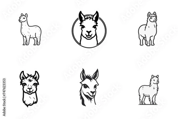 Obraz set of lama or alpaca black and white vector illustration isolated transparent background logo, cut out or cutout t-shirt print design
