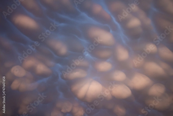 Fototapeta Mammatus clouds in the sky overhead create an other worldly display. Light from the setting sun gives them a pink hue.