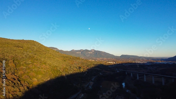 Obraz forest on the sunset