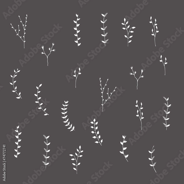 Obraz Hand-drawn silhouettes branches graphic design elements set