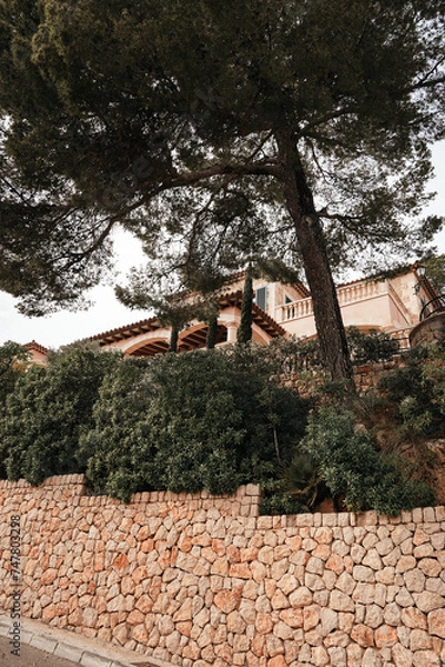 Obraz brick wall with tree